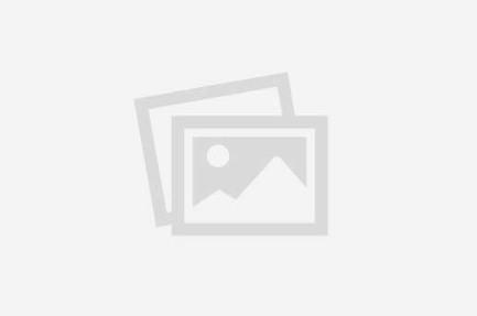 Sistem Pengelolaan Pengaduan Pelayanan Publik Nasional (SP4N) - Layanan Aspirasi dan Pengaduan Online Rakyat (LAPOR)